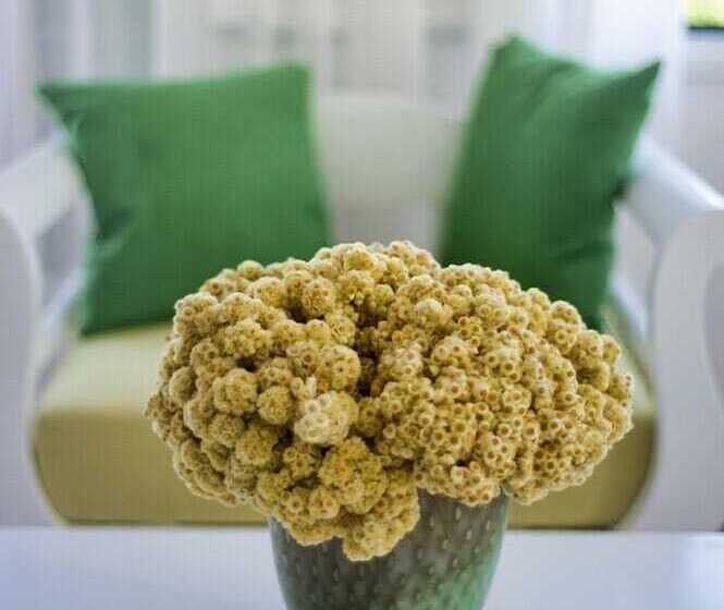 سوییت, Kerkis Bay