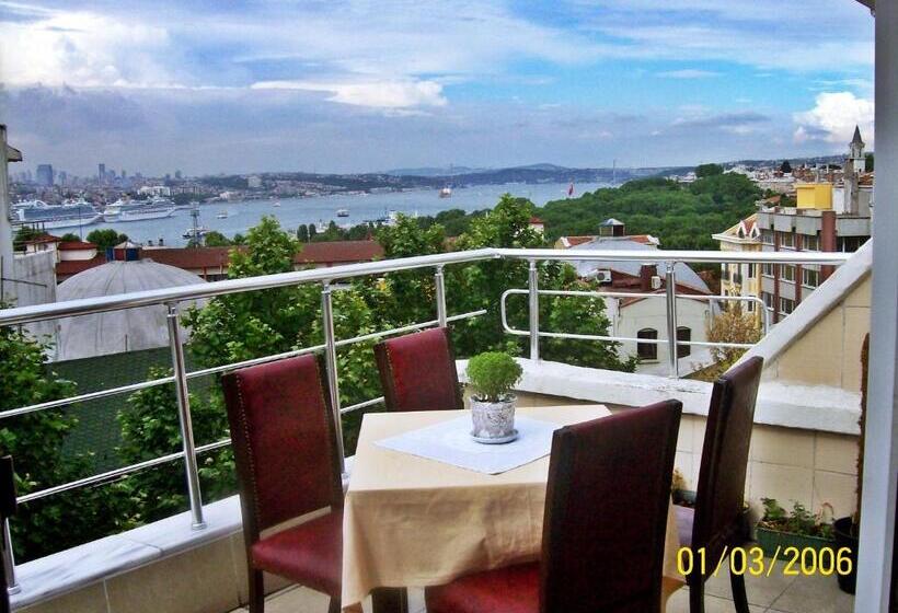 スタンダードルーム, Meddusa