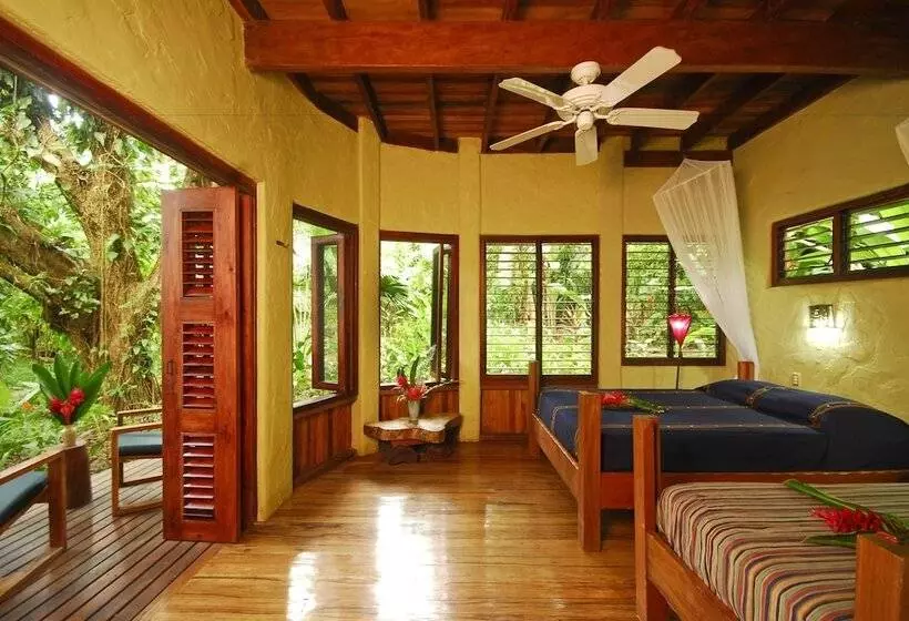 スタンダードルーム, Playa Nicuesa Rainforest Eco Sanctuary