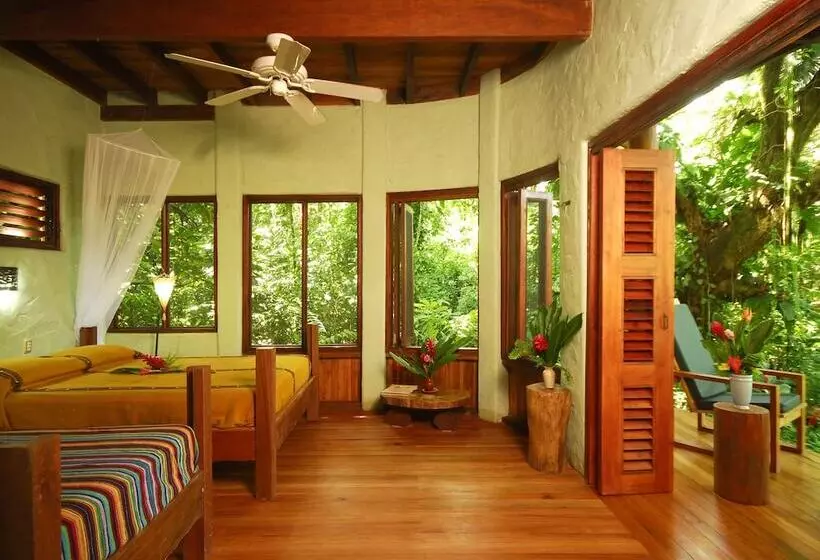 スタンダードルーム, Playa Nicuesa Rainforest Eco Sanctuary
