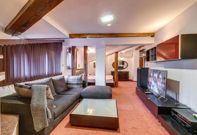 شقة ديلوكس غرفة واحدة, The Castle Complex