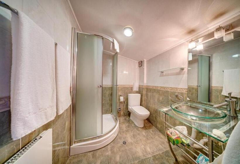 شقة ديلوكس غرفة واحدة, The Castle Complex