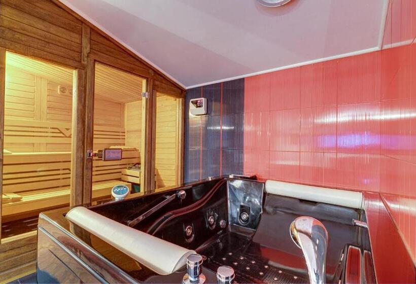 شقة ديلوكس غرفة واحدة, The Castle Complex