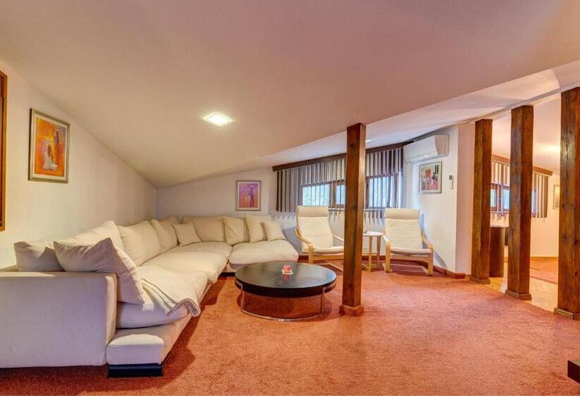 شقة ديلوكس غرفة واحدة, The Castle Complex