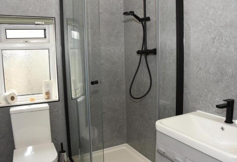 スタンダードシングルルーム, Greyhound