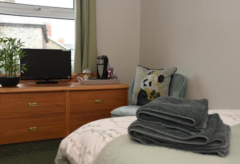 スタンダードシングルルーム, Greyhound