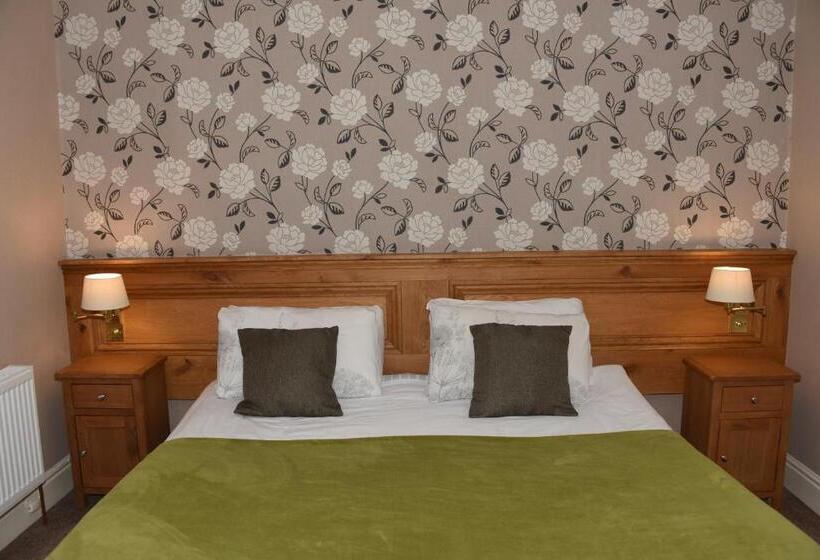 スタンダードルーム, Greyhound