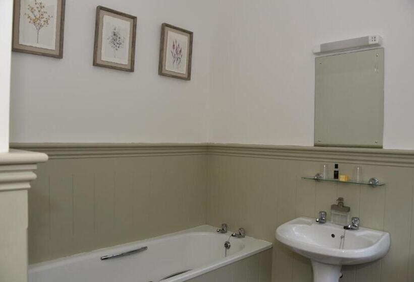 スタンダードルーム, Greyhound