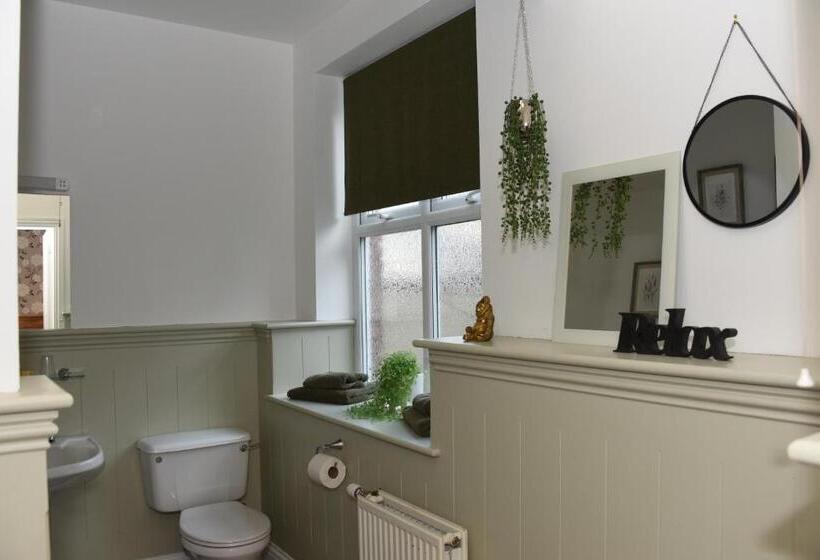 スタンダードルーム, Greyhound