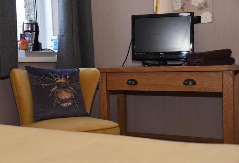 デラックスルーム, Greyhound