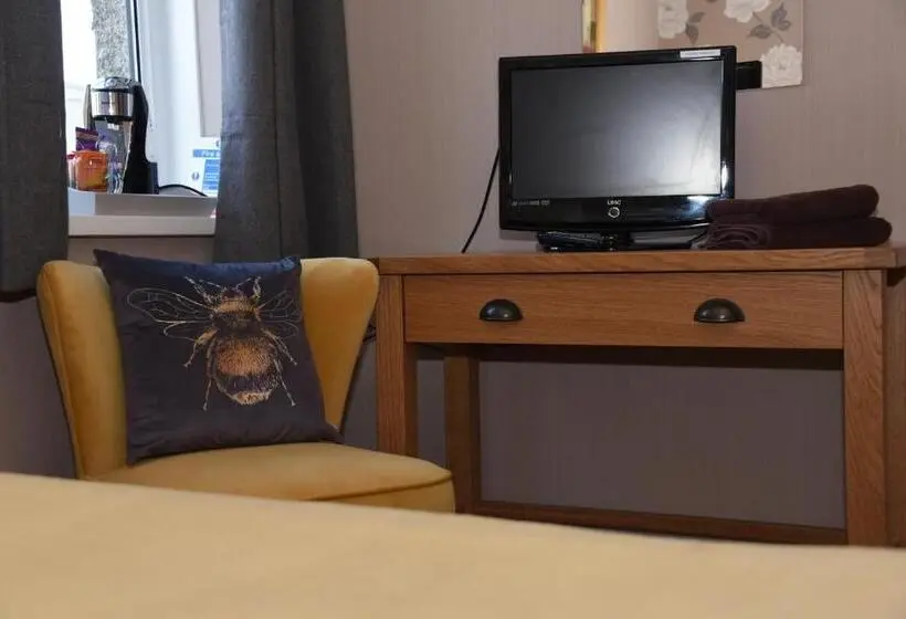 デラックスルーム, Greyhound