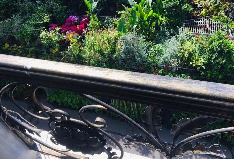 اتاق استاندارد با تخت بزرگ, Amor