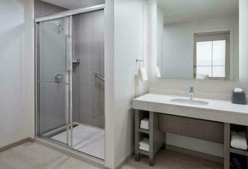 Люкс Кровать Кинг, Hyatt House Denver Aurora