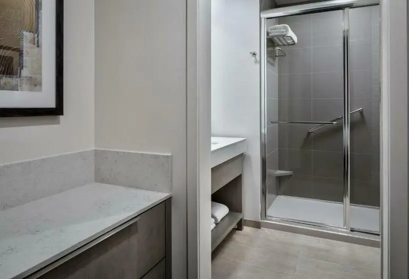 キングサイズベッドのスイートルーム, Hyatt House Denver Aurora