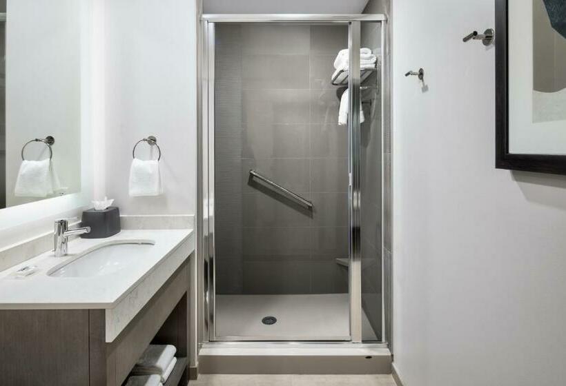 Люкс Кровать Кинг, Hyatt House Denver Aurora