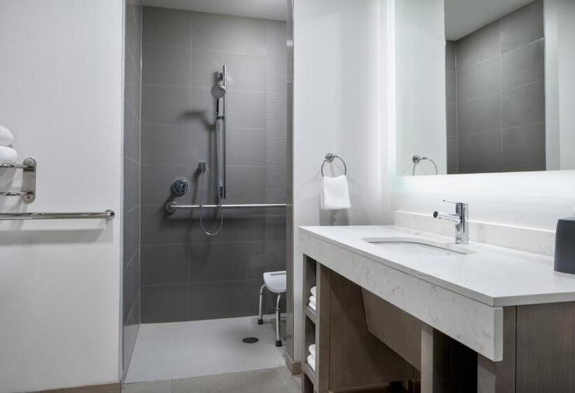 Номер Стандарт Кровать Кинг Адаптированный для Инвалидов, Hyatt House Denver Aurora