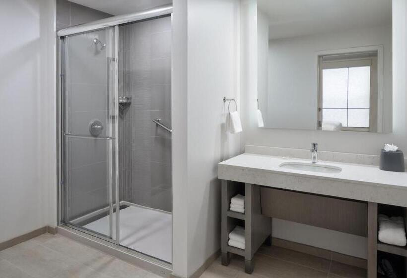 스탠다드 룸 킹사이즈 침대, Hyatt House Denver Aurora
