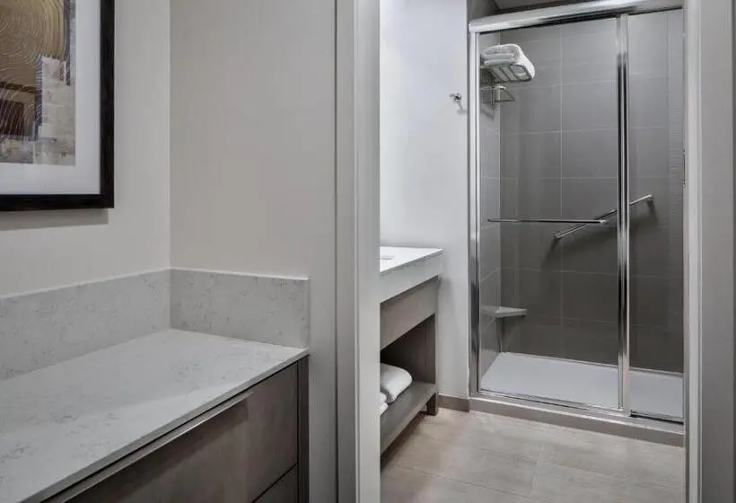 キングサイドベッドのスタンダードワンルーム, Hyatt House Denver Aurora