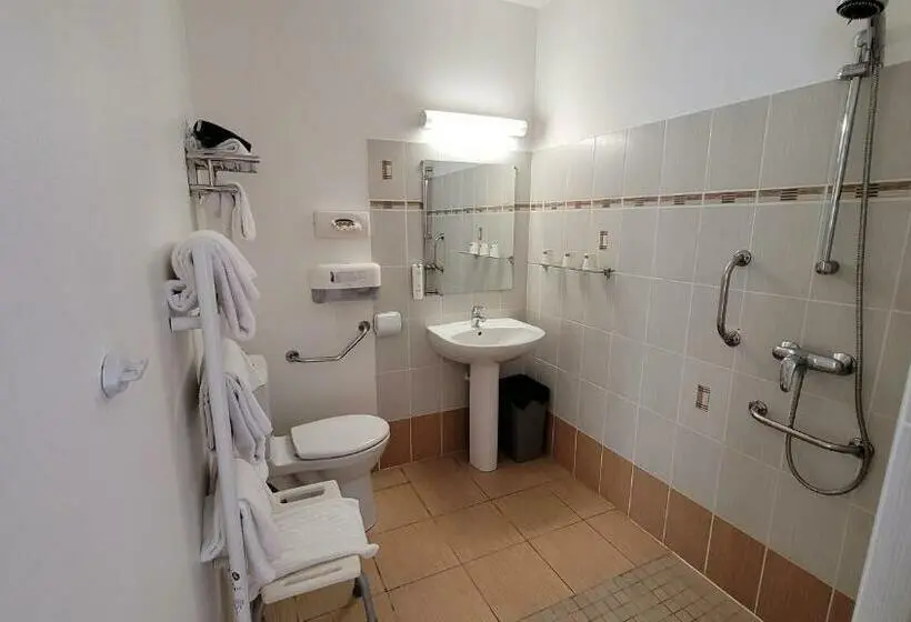 اتاق کلاسیک سه تخته, Le Relais Du Valois Cognac Centre