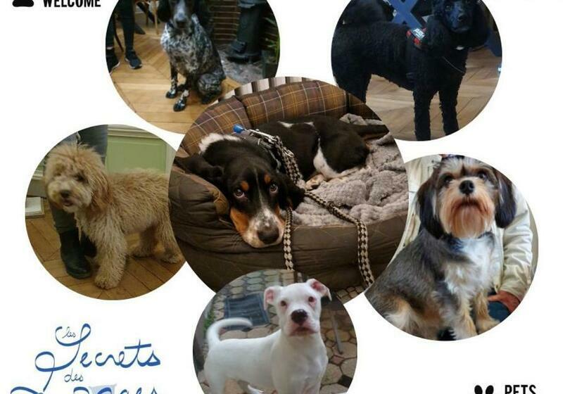 غرفة قياسية, B & B Les Secrets Des Loges