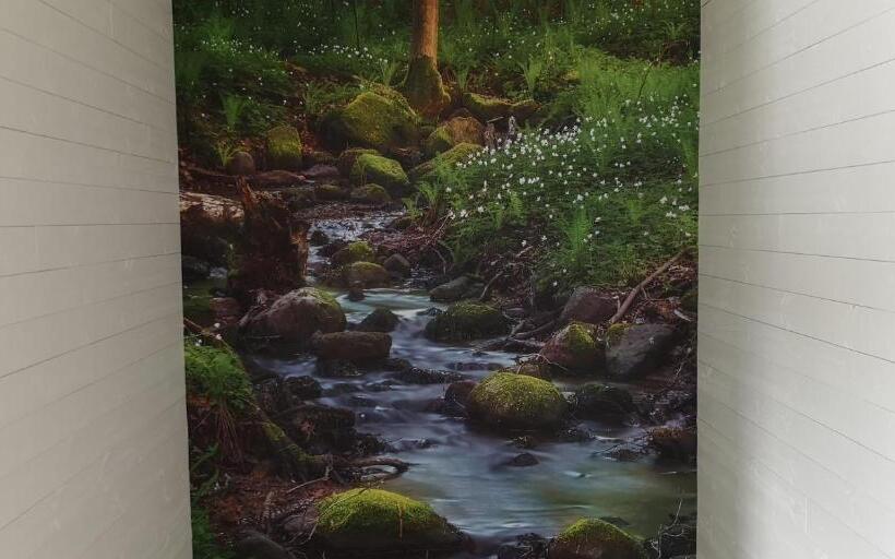 חדר סטנדרט מותאם לאדם עם מוגבלויות, Skäftekärr Hotell Och Konferens