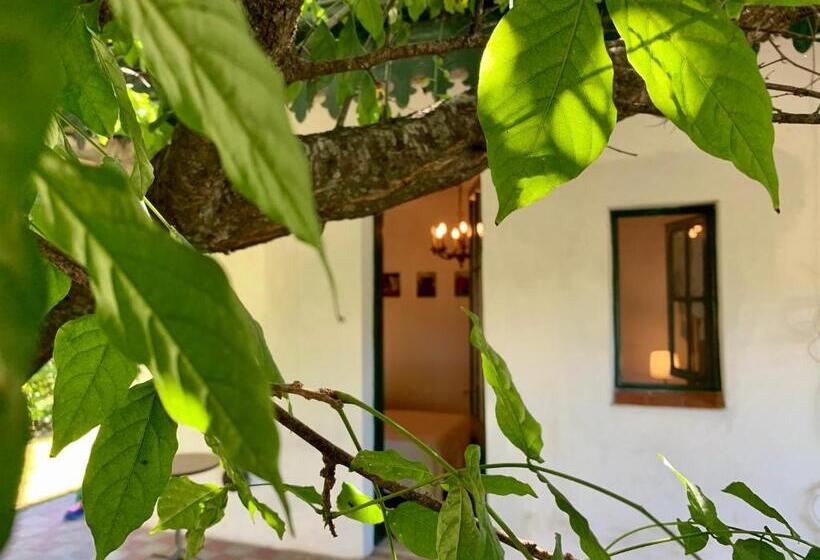 غرفة قياسية, Centro Ecuestre Frasco Chico