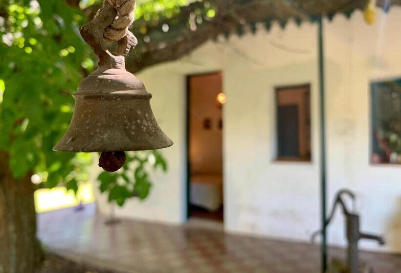 Номер Стандарт, Centro Ecuestre Frasco Chico