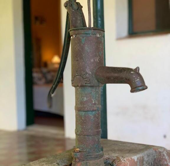 غرفة قياسية, Centro Ecuestre Frasco Chico