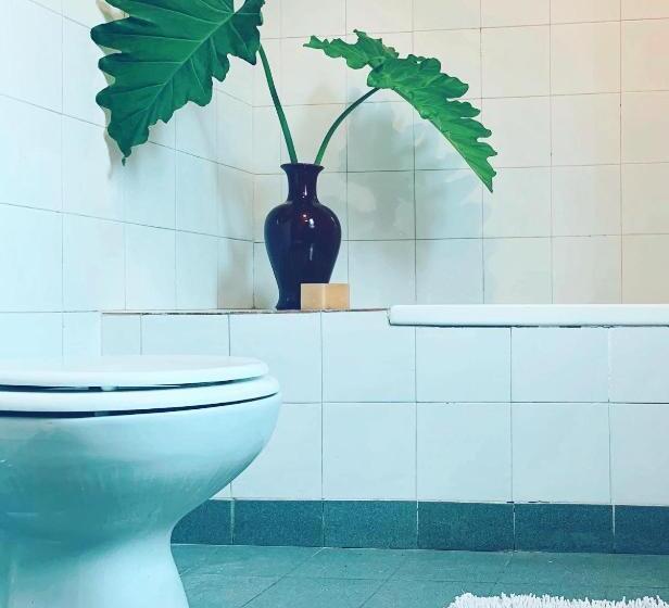 غرفة قياسية, Centro Ecuestre Frasco Chico