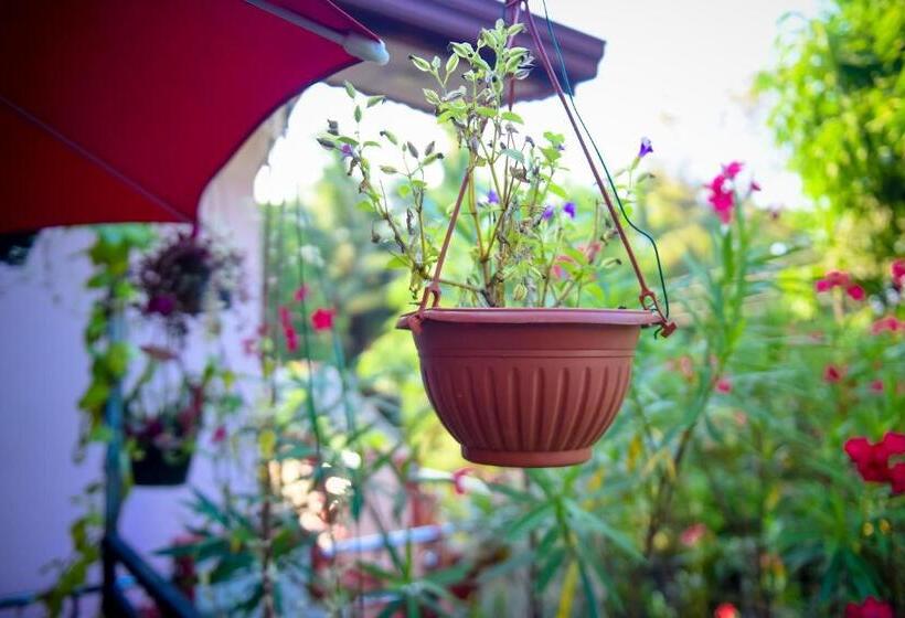 חדר סטנדרט נוף לאגם, Double Lake View Tissa & Safari