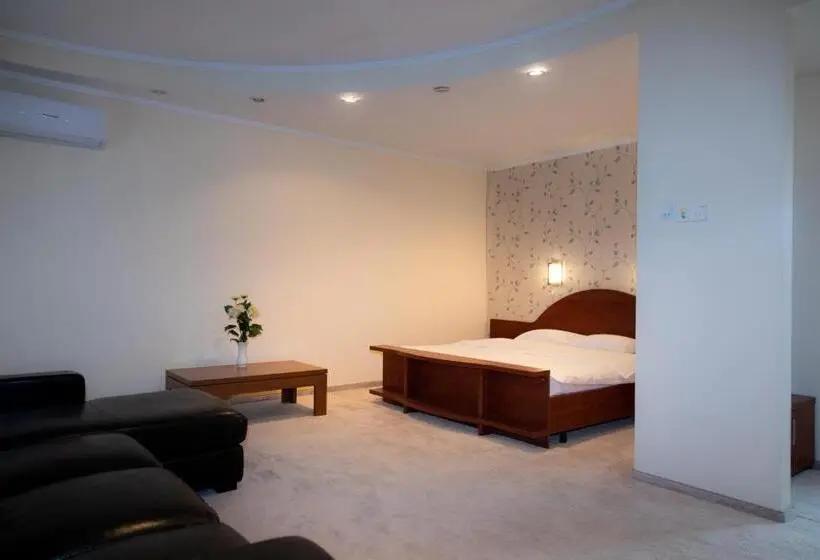 استودیو استاندارد با تراس, Palace