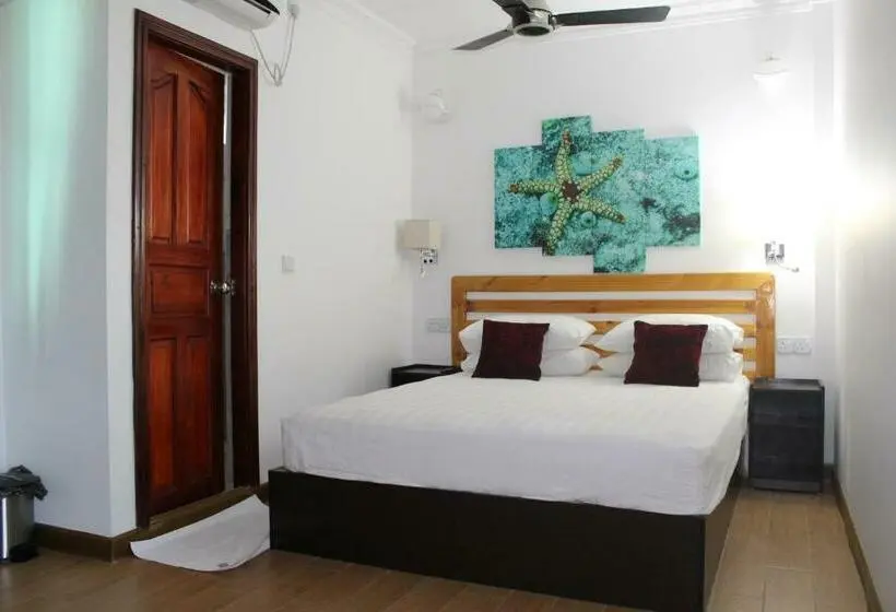اتاق لوکس, Arianna Dhangethi