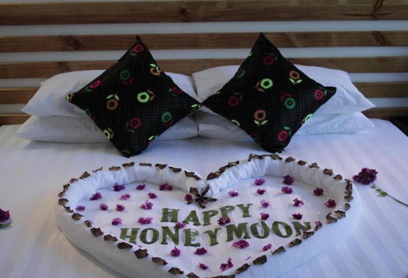 اتاق لوکس, Arianna Dhangethi