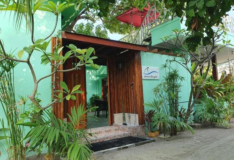 اتاق استاندارد, Arianna Dhangethi