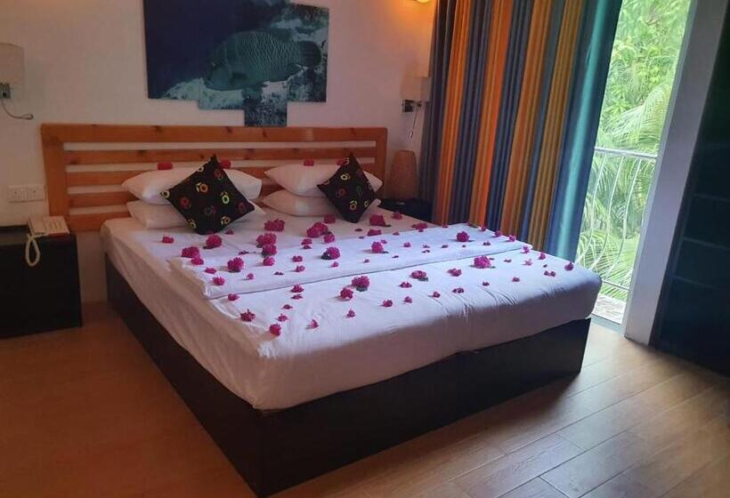 اتاق لوکس, Arianna Dhangethi