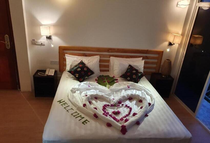 اتاق لوکس, Arianna Dhangethi