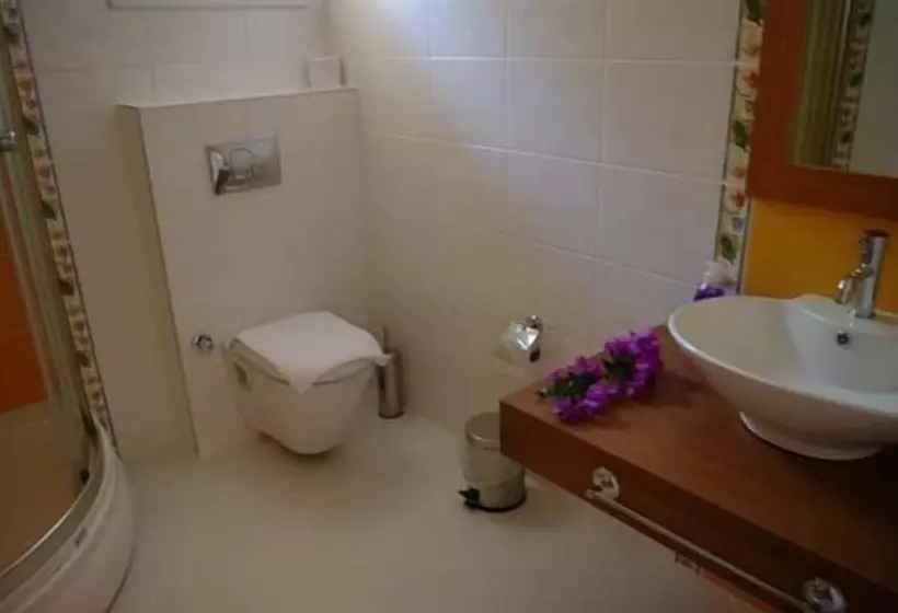 Standard-huone, Celay Hotel