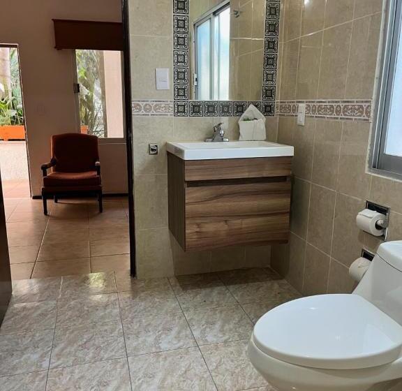 スタンダードルーム, Bajo El Volcan