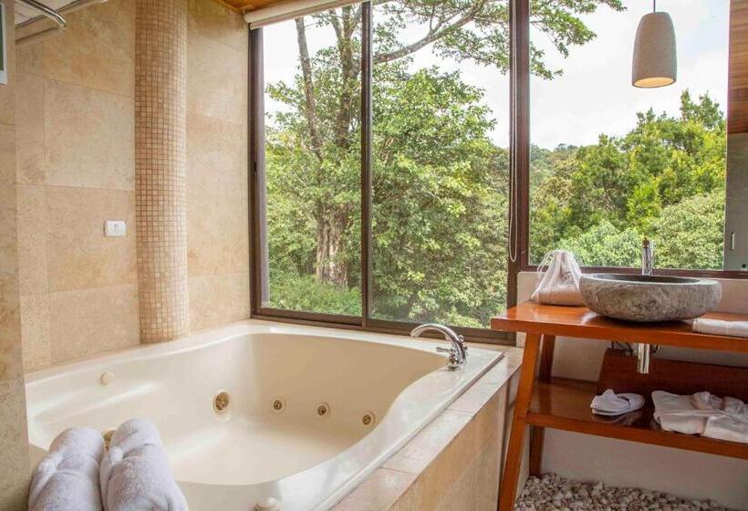 غرفة قياسية, Belmar