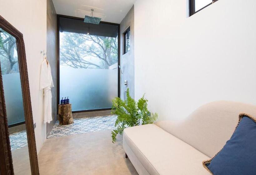 جناح دور أخير, Belmar