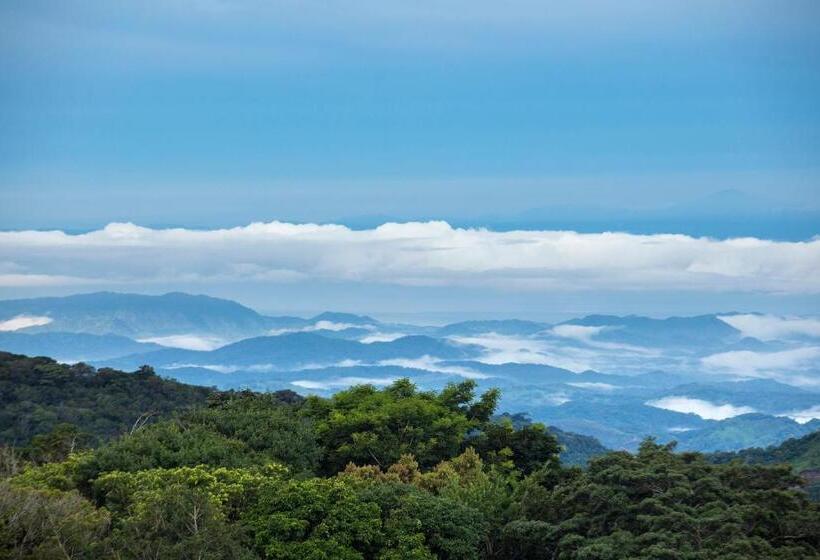 جناح دور أخير, Belmar