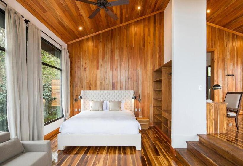 جناح دور أخير, Belmar