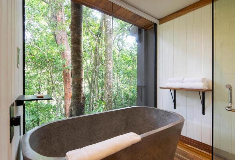 إستوديو قياسى, Belmar