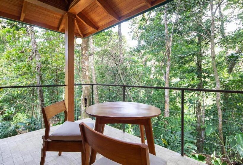 إستوديو قياسى, Belmar