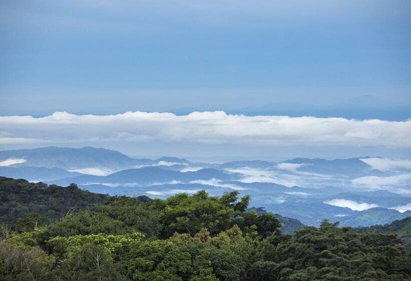 جناح دور أخير, Belmar