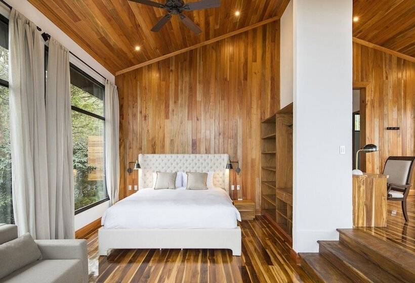 جناح دور أخير, Belmar