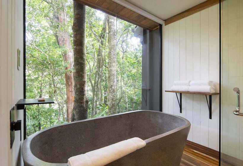 إستوديو قياسى, Belmar