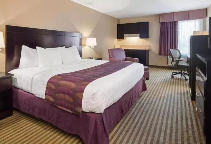 キングサイズベッドのスタンダードルーム, Best Western Bayou Inn