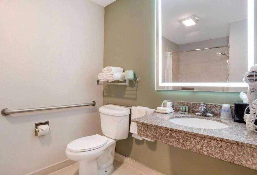 غرفة قياسية سرير كينج, Best Western Bayou Inn