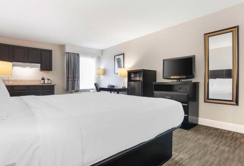 غرفة قياسية سرير كينج, Best Western Bayou Inn